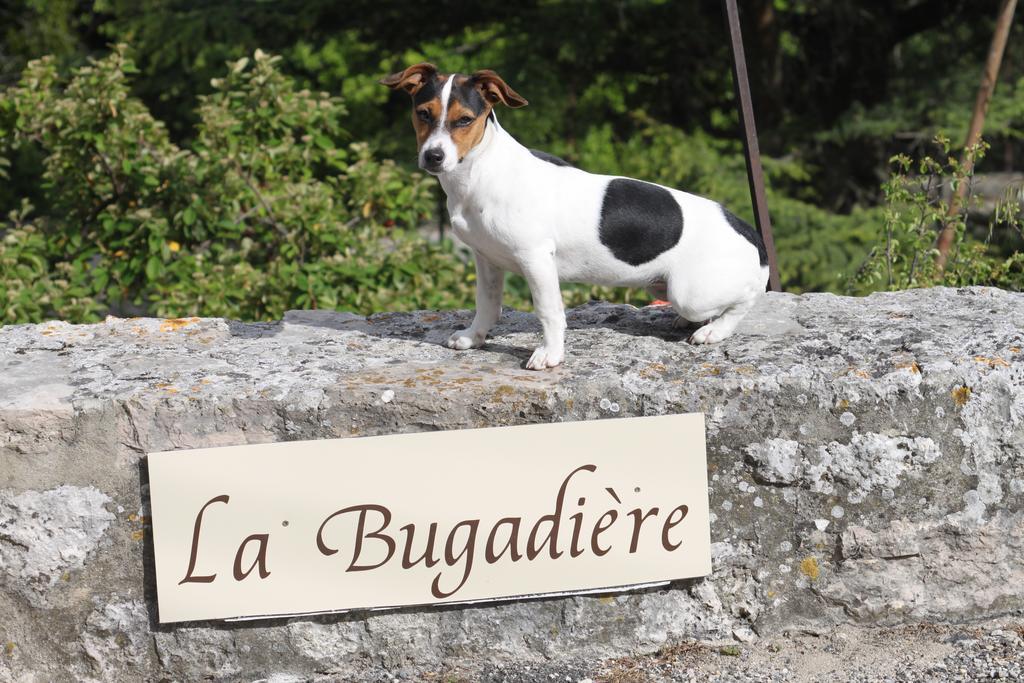 La Bugadiere Salles-sous-Bois Eksteriør billede